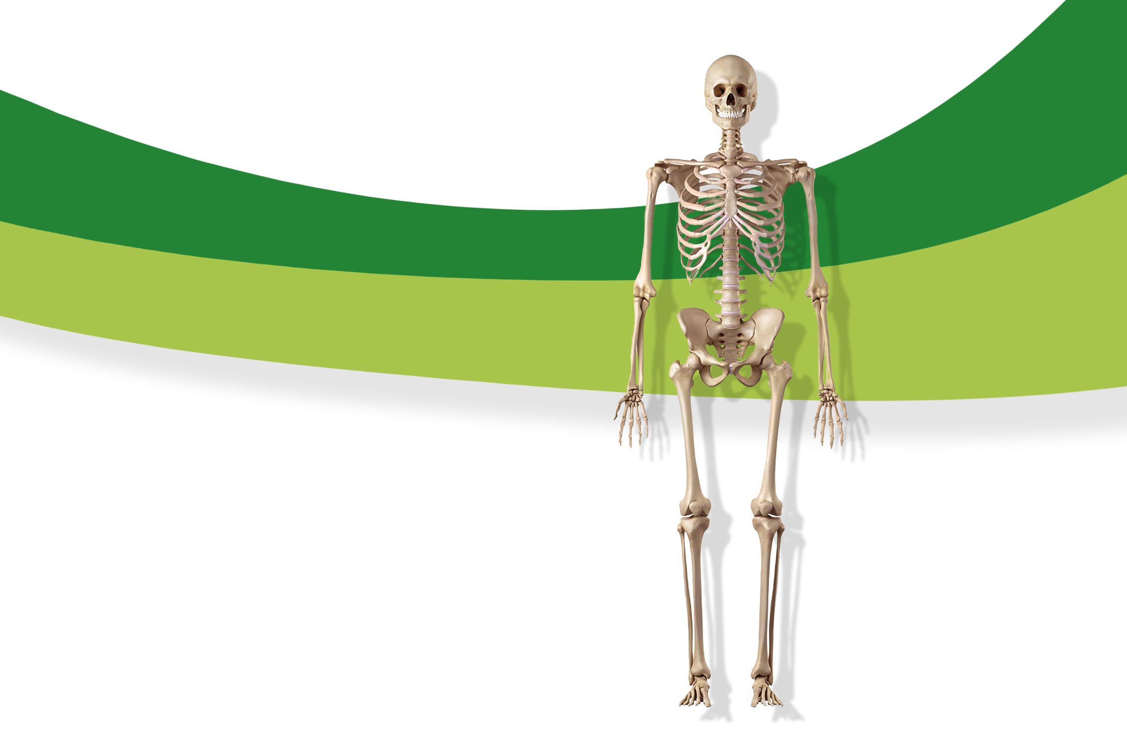 Orthopädie